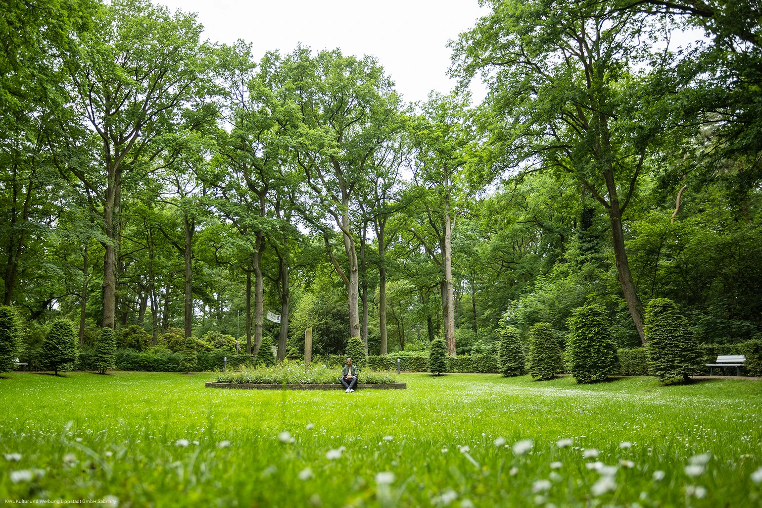 Kurpark Bad Waldliesborn