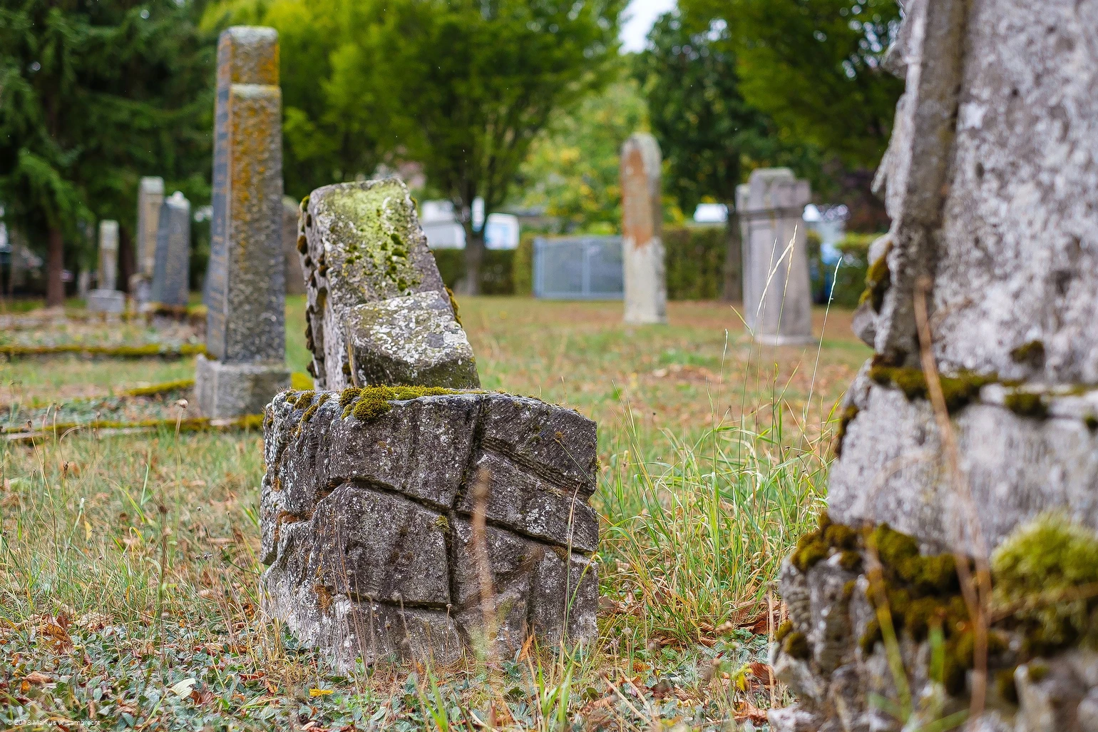 Juedischer Friedhof in Willingen-Eimelrod