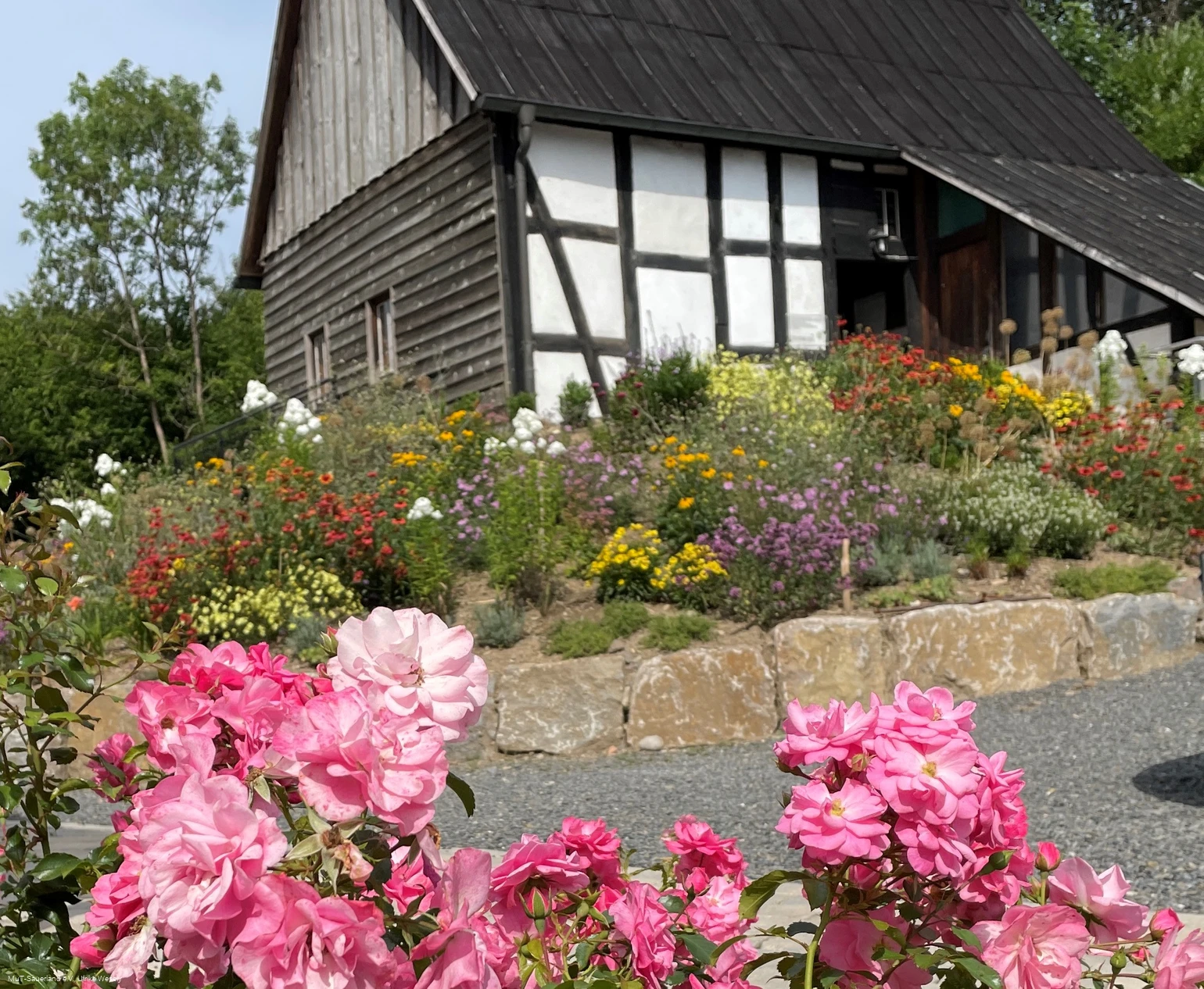 Cultivarium Schrabben Hof
