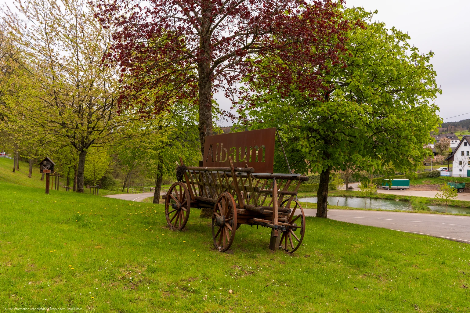 Albaum Ortseingang