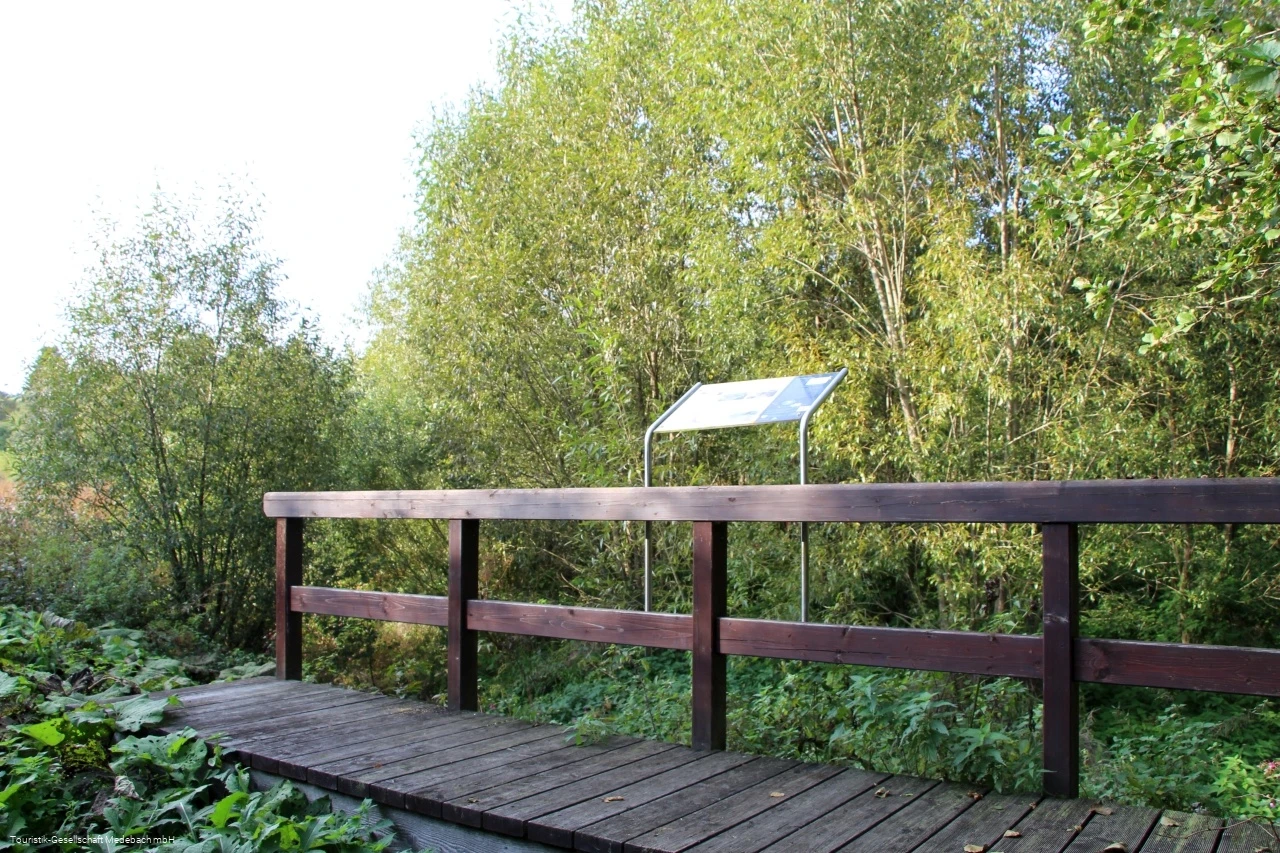 Infotafel 11 am Gewässerpfad Orke