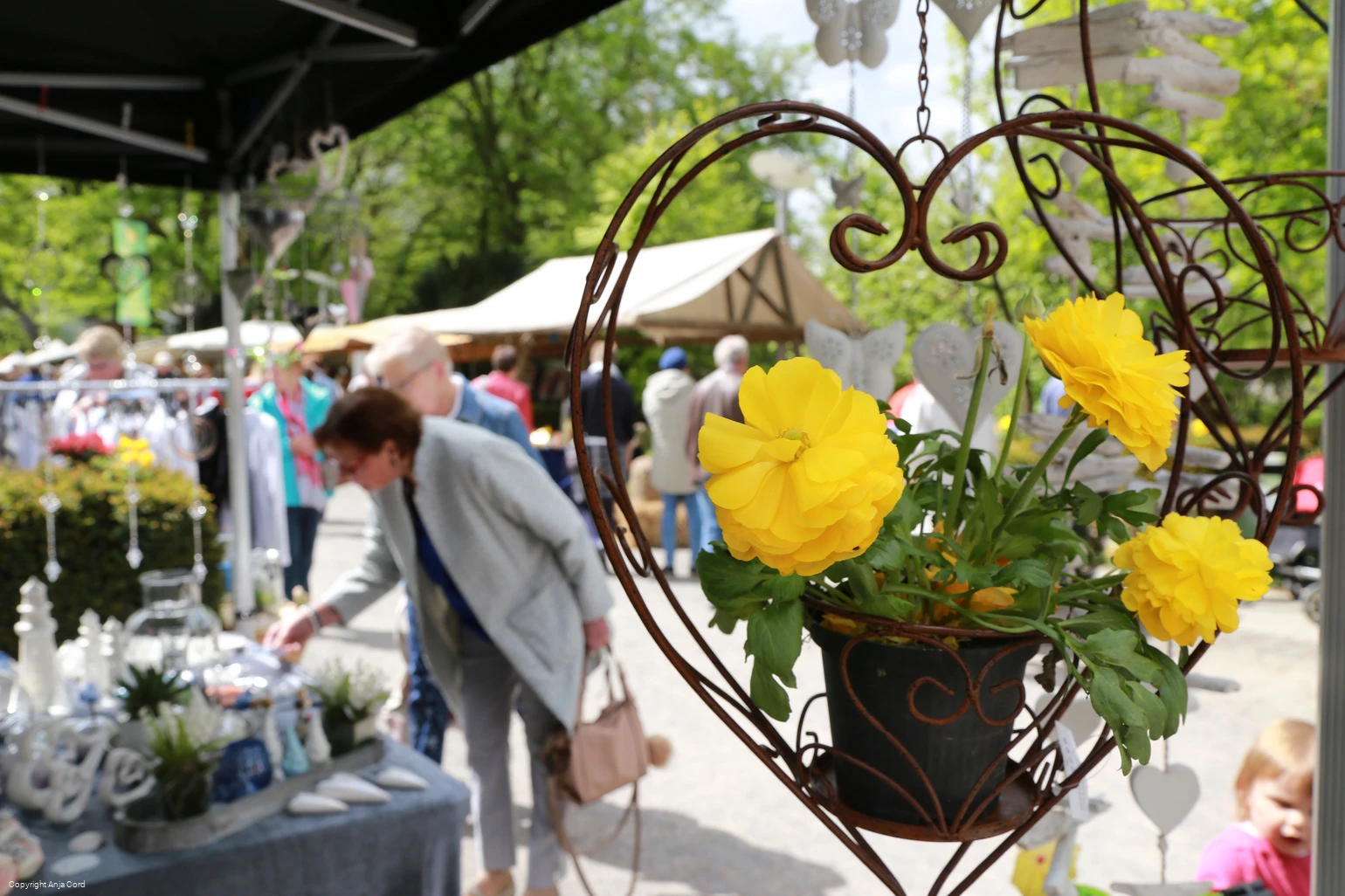 Herbstmarkt Bad Sassendorf Herbstmarkt Bad Sassendorf