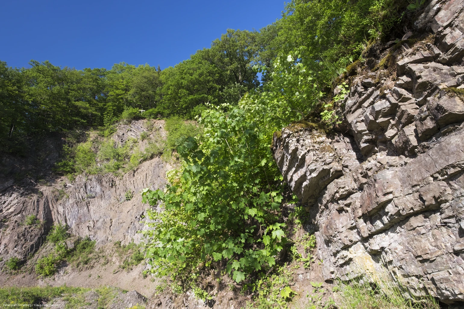 FerienweltWinterberg_2018_Hallenberg_Hesborn_Steinbruch_Gemeindesteinbruch_Dorfplatz_Felsen_Sommer_Klaus-Peter Kappest (7).jpg FerienweltWinterberg_2018_Hallenberg_Hesborn_Steinbruch_Gemeindesteinbruch_Dorfplatz_Felsen_Sommer_Klaus-Peter Kappest (7).jpg