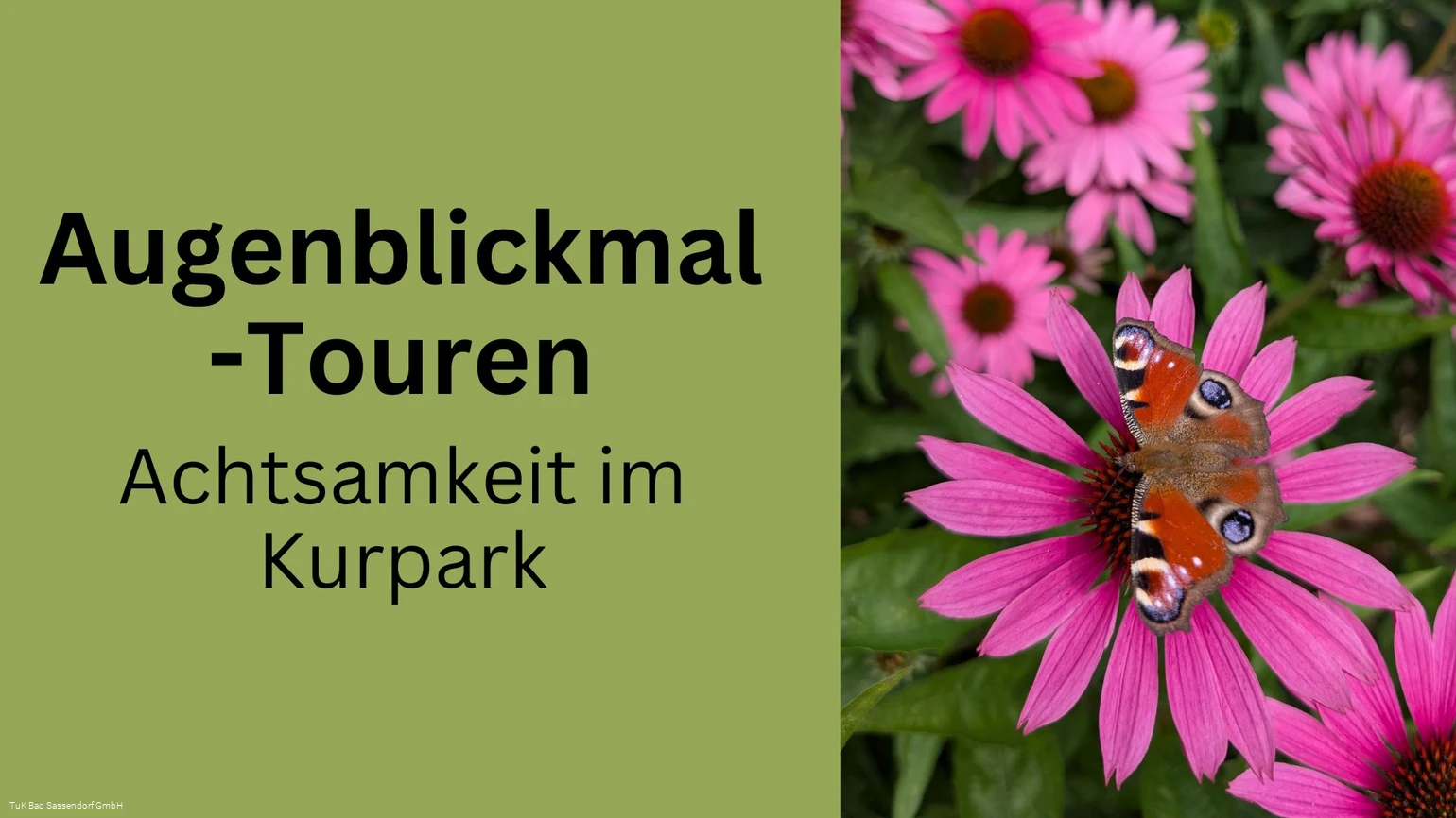 Augenblickmal-Touren in Bad Sassendorf