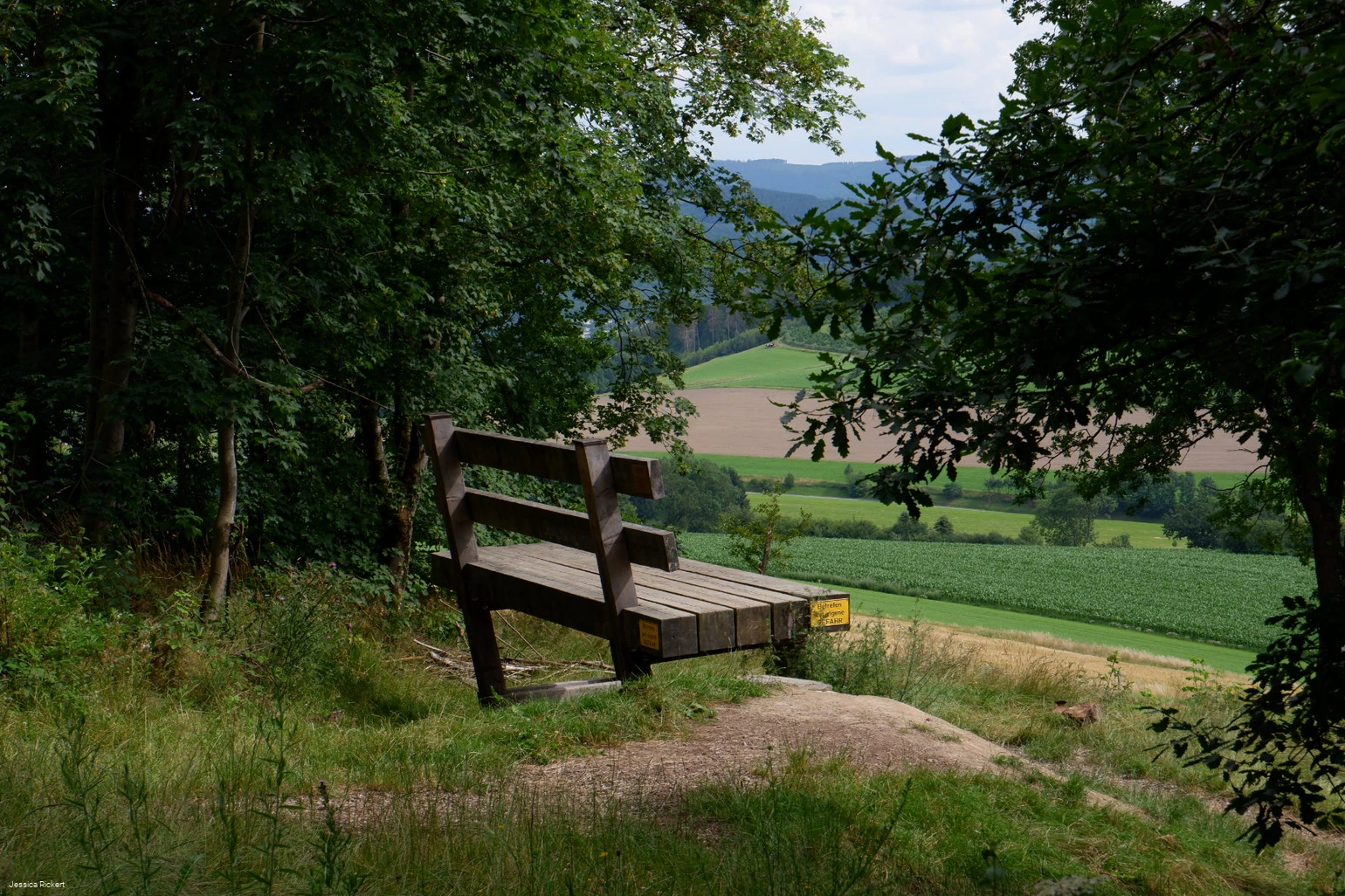 Riesen Bank bei Eversberg 1 © Jessica Rickert.jpg