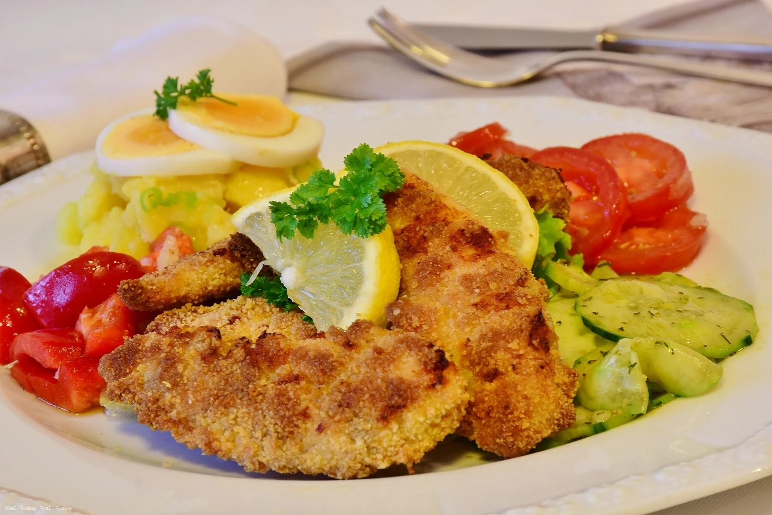 Schnitzel - Gastro-Bild Bad Sassendorf allgemein