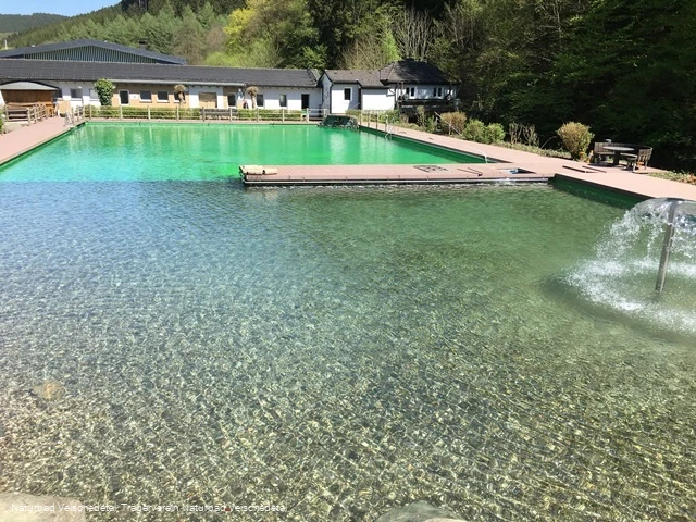 Schwimmbecken Schwimmbecken