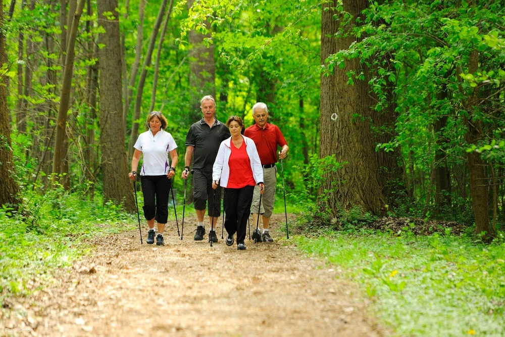 Nordic Walken rund um Bad Sassendorf Nordic Walken rund um Bad Sassendorf