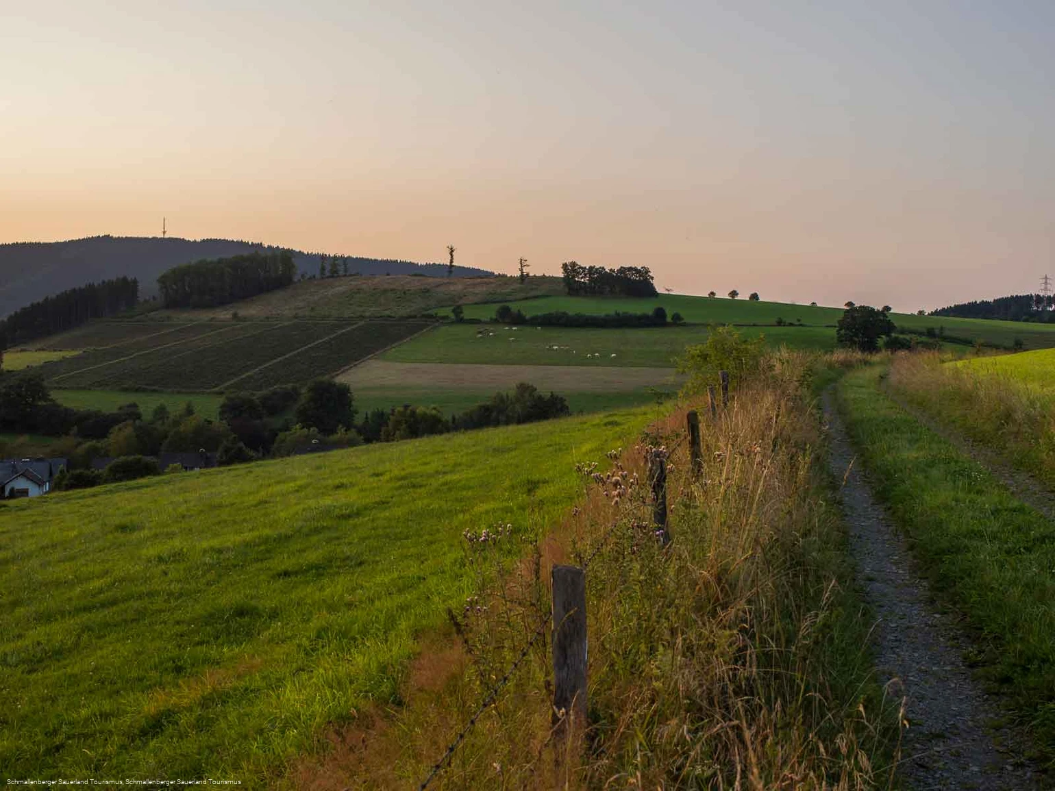 Blick zurück Richtung Tittenberg