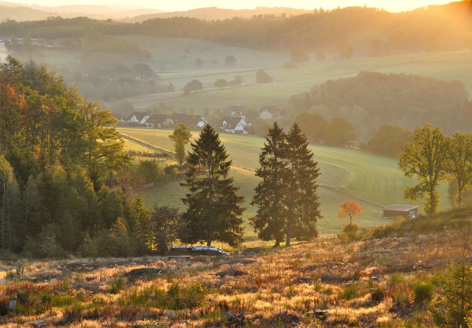 Berlinghausen und unteres Brachtpetal 