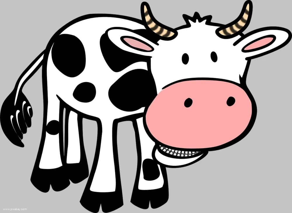 Symbol Kuh