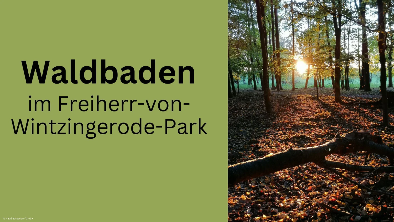 Waldbaden im Freiherr-von-Wintzingerode-Park (Bad Sassendorf)