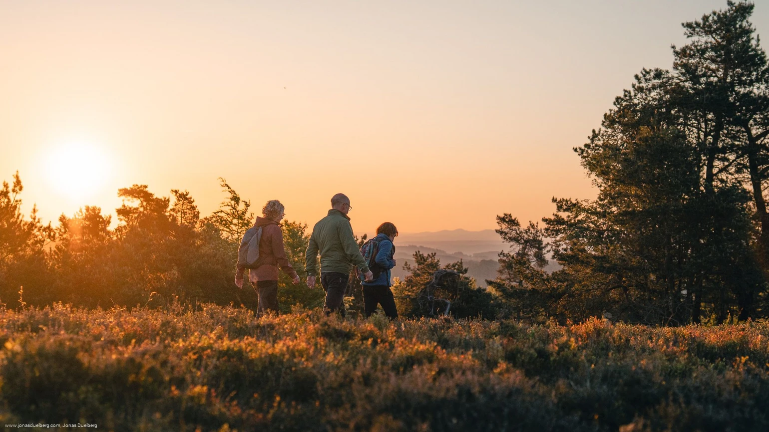 Wandergruppe-Rückansicht-Heide-Sonnenuntergang c) Jonas Dülberg, Tourist-Info Willingen.jpg