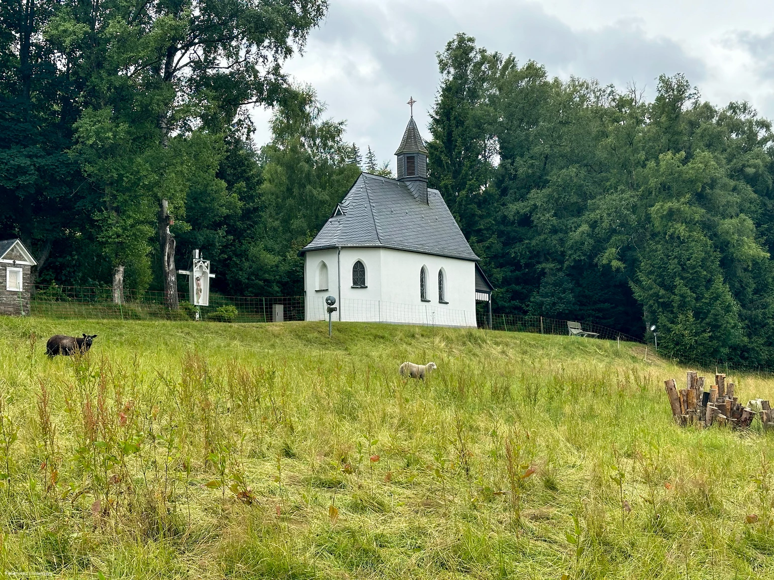 Kapelle oberhalb einer Wiese mit Schafen, umgeben von Bäumen.