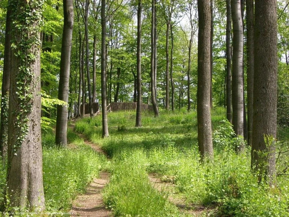 Erlebnisstation bei Kapune