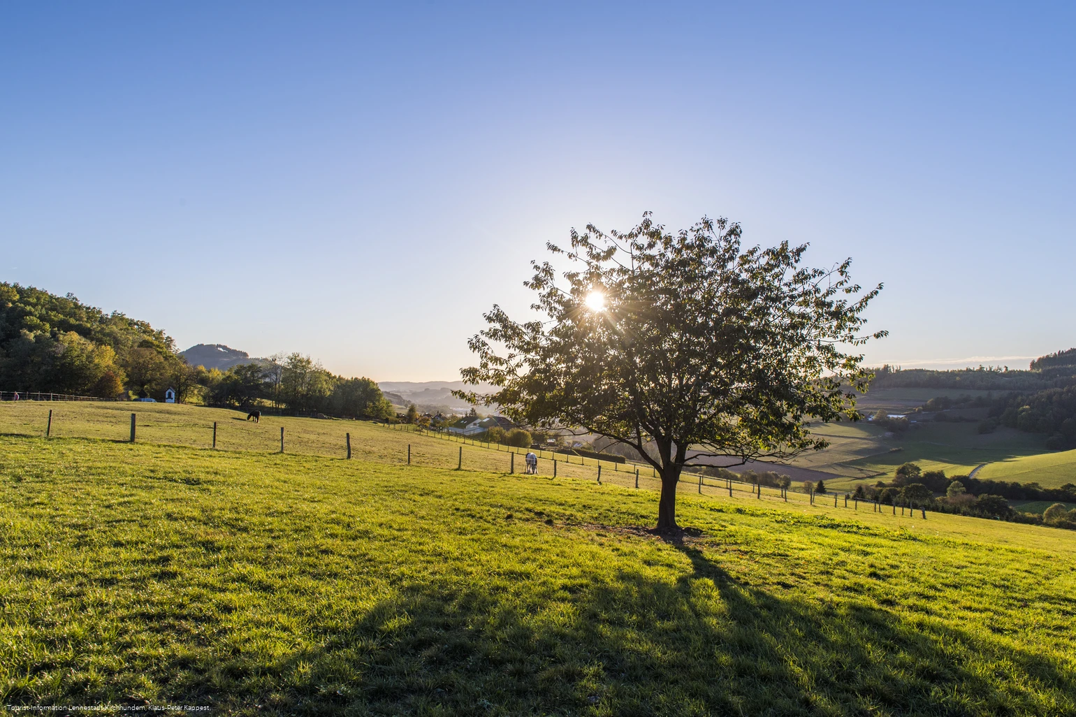 Sauerland-Seelenort Lausebuche