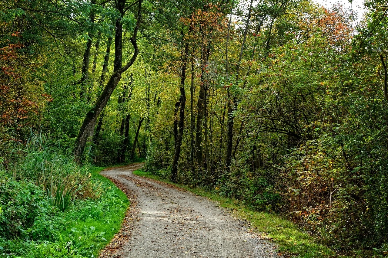 Wanderweg.jpg