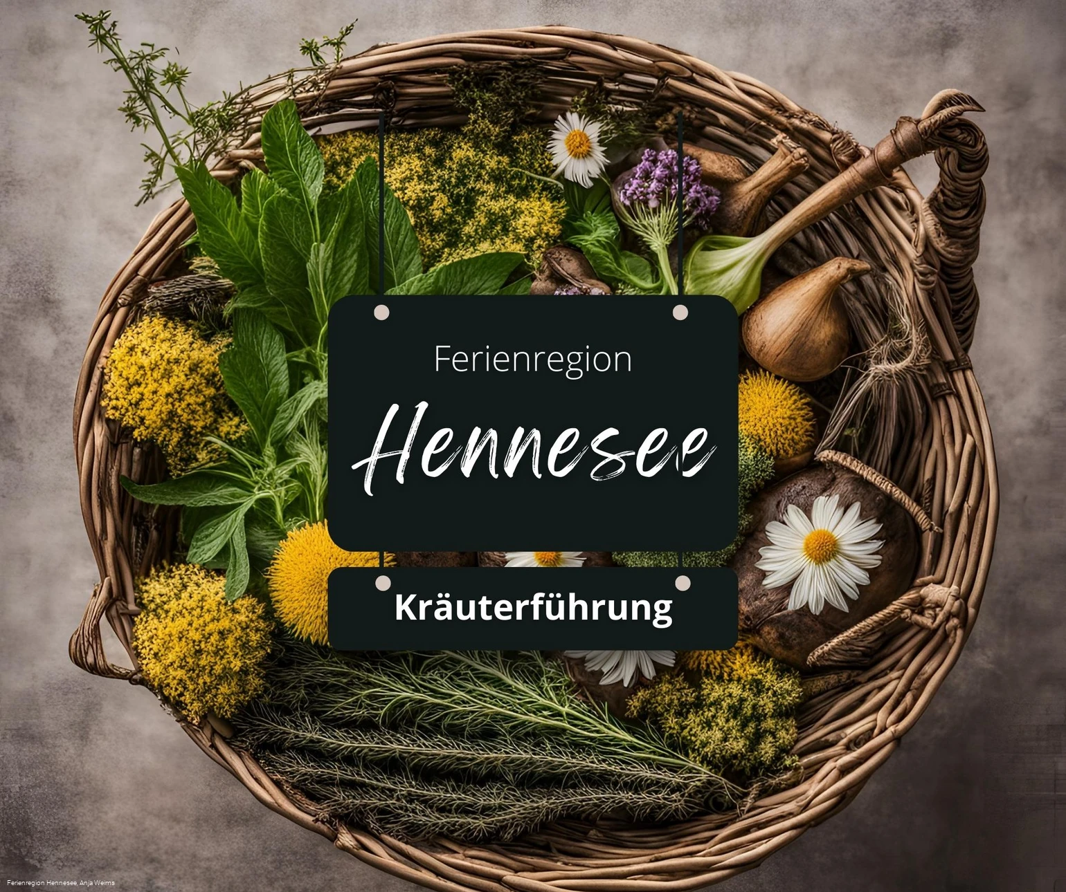 Kräuterführung