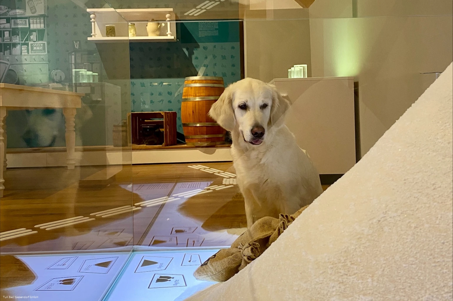 Doggy Day Westfälische Salzwelten Bad Sassendorf