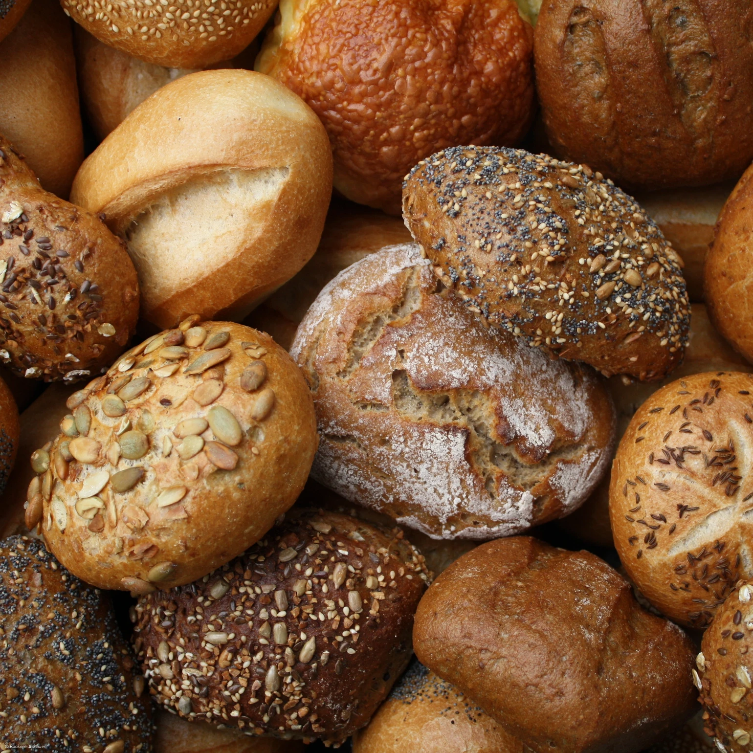 Brötchenauswahl: große Vielfalt täglich frisch!