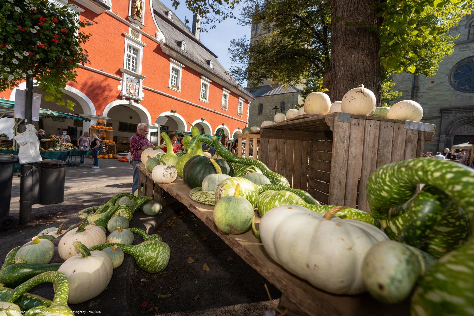 Bördebauernmarkt