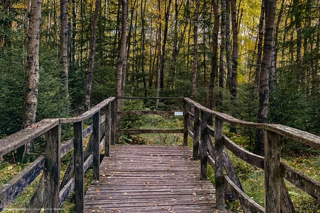 Steg an der Ederquelle auf dem Rothaarsteig