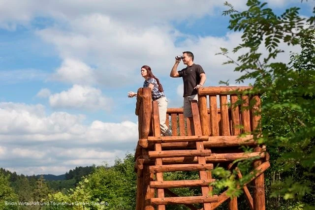 Station 6 Waldfeenpfad Station 6 Waldfeenpfad