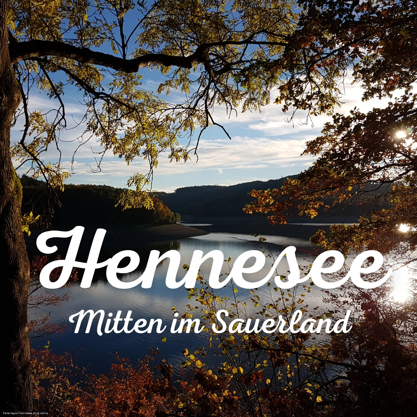Logo-Hennesee-mitten-im-sauerland
