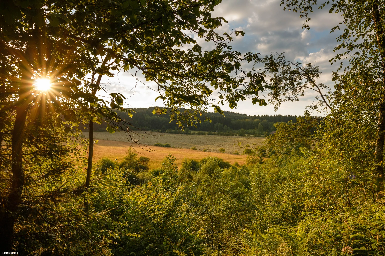 20160719_Dollenbruch_(c)_Kerstin Berens (2).jpg