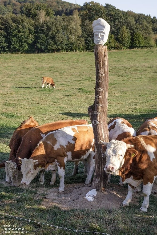 Der Scheuerpfahl auf der Weide