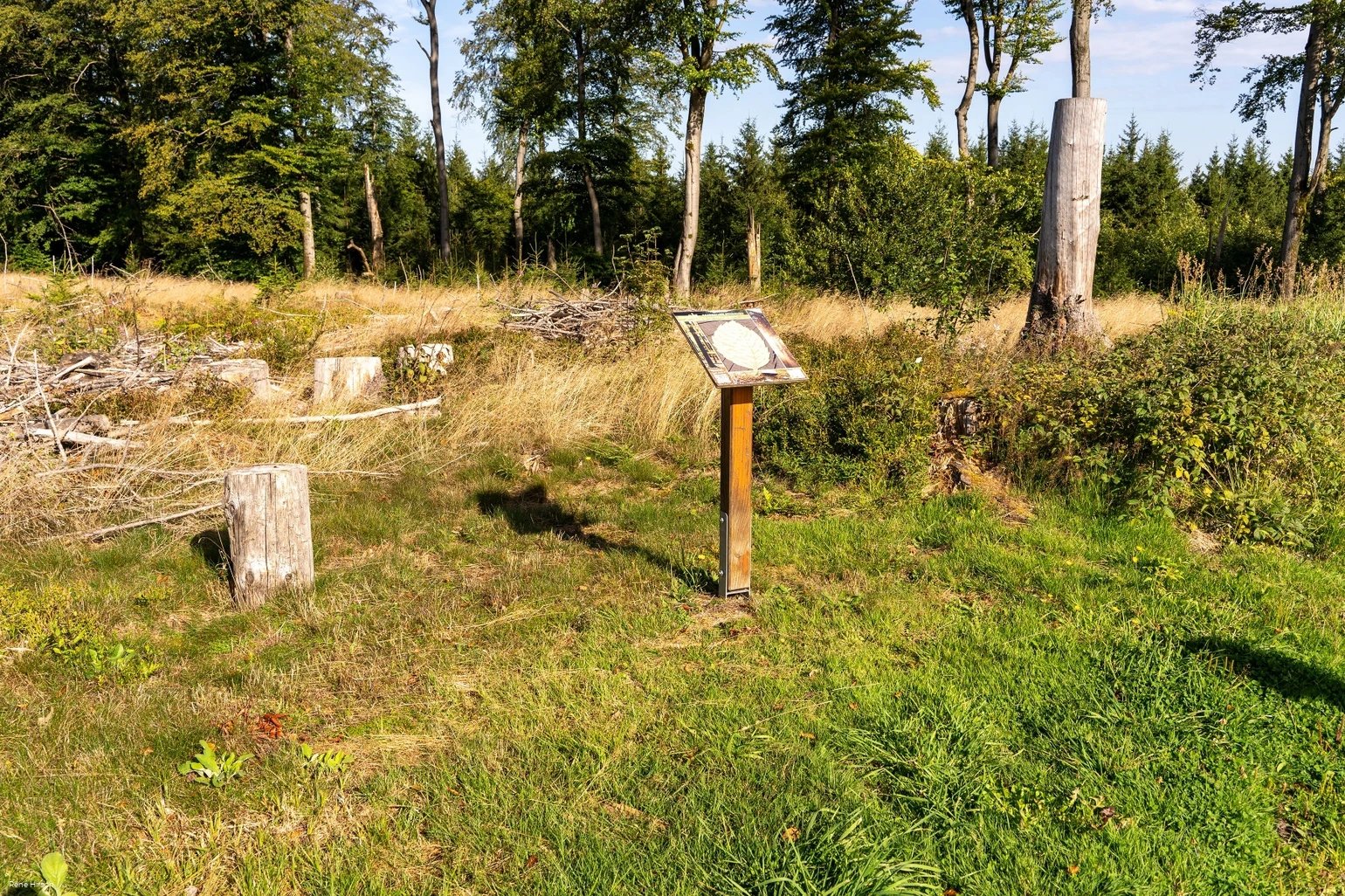 Verweil-Ort Vergehen und Entstehen Verweil-Ort Vergehen und Entstehen