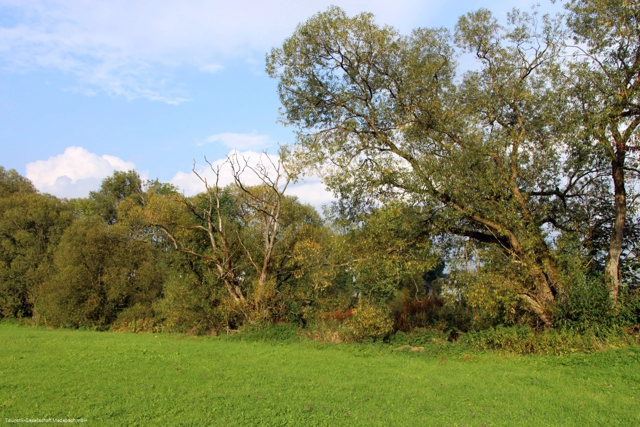 Wiesentäler am Gewässerpfad Orke