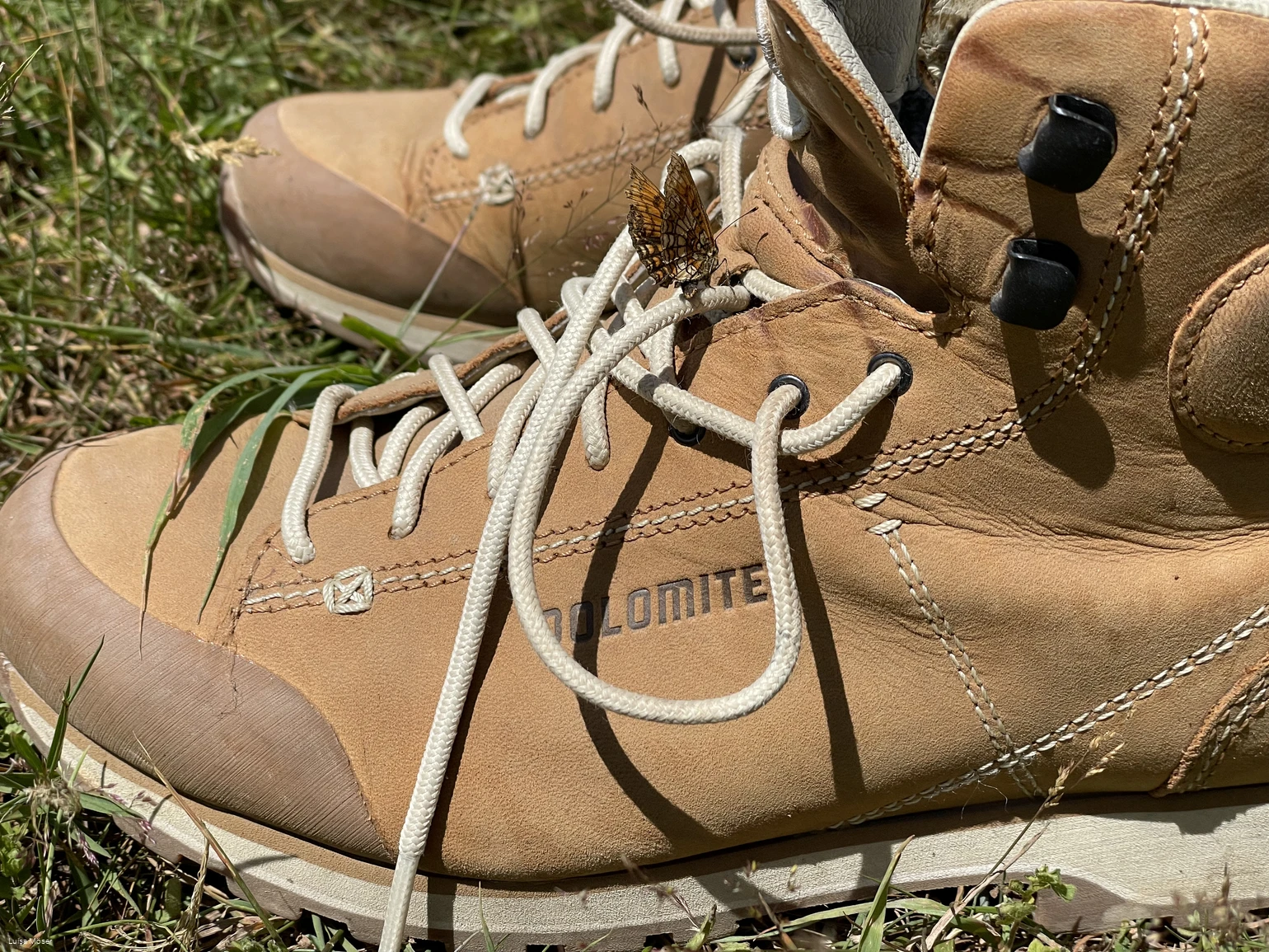 Wanderschuh Wanderschuh