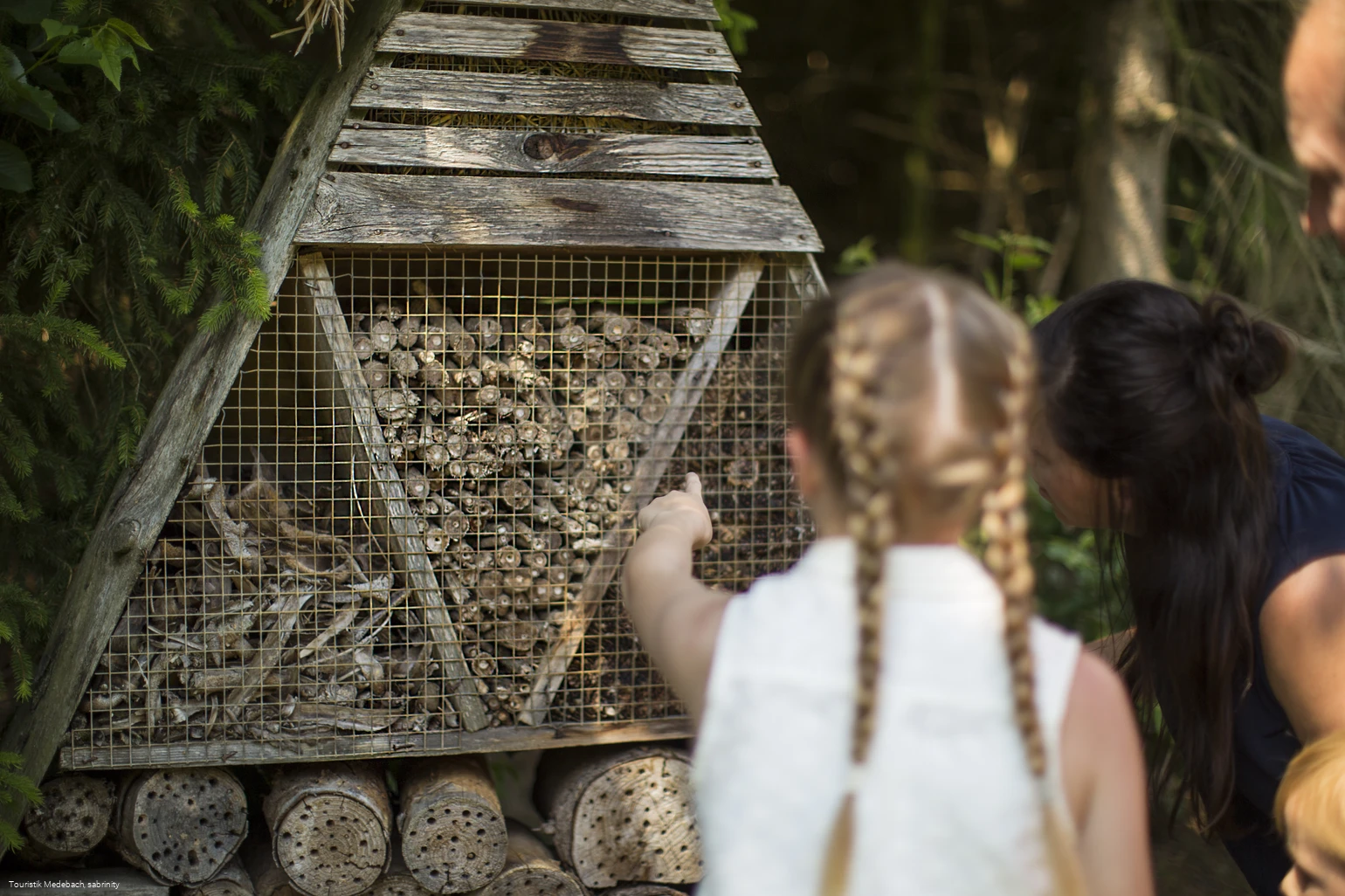 Es gibt viel zu entdecken bei den Familien-Wanderwegen in Medebach