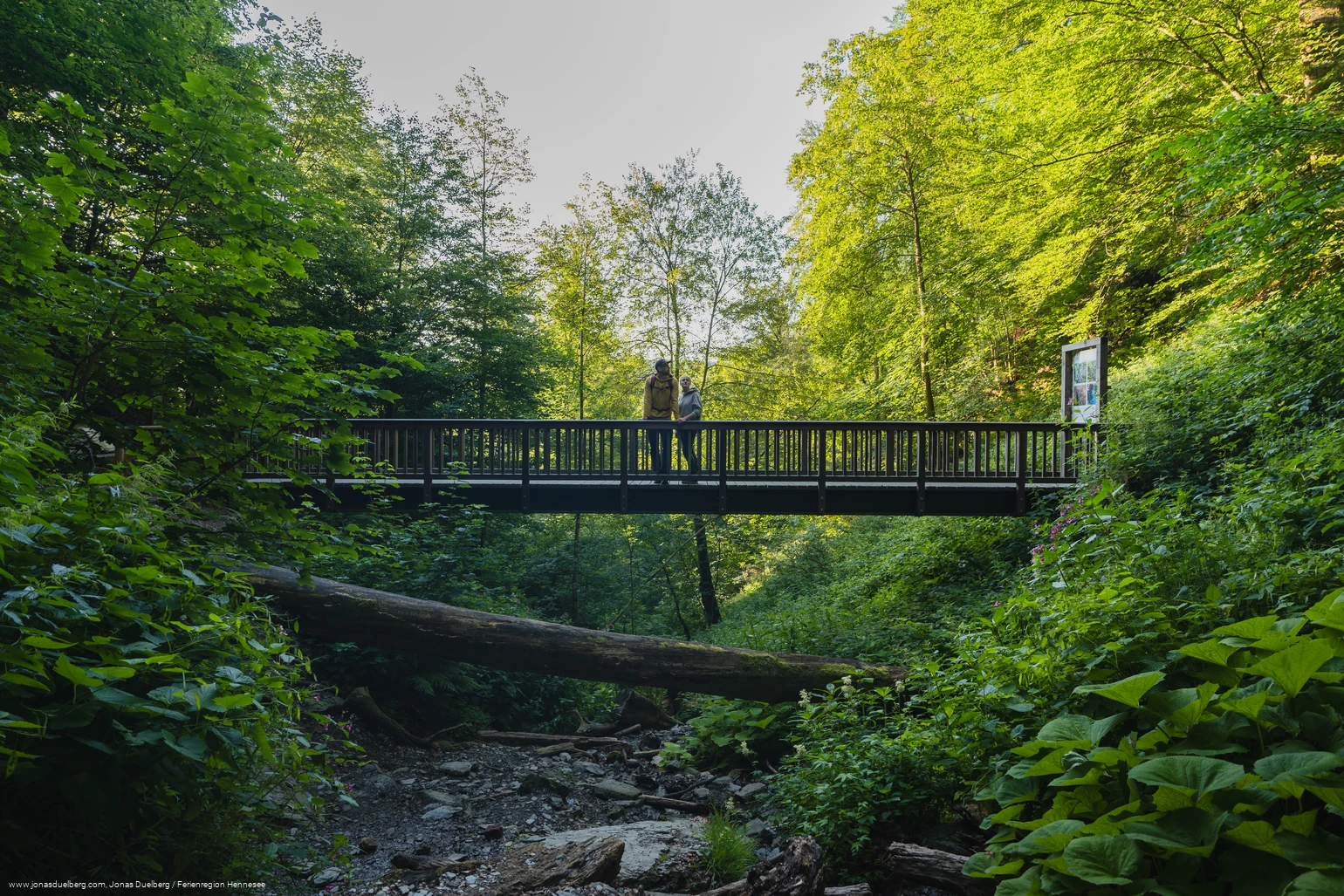 Aussichtsplattform Wasserfall Plästerlegge