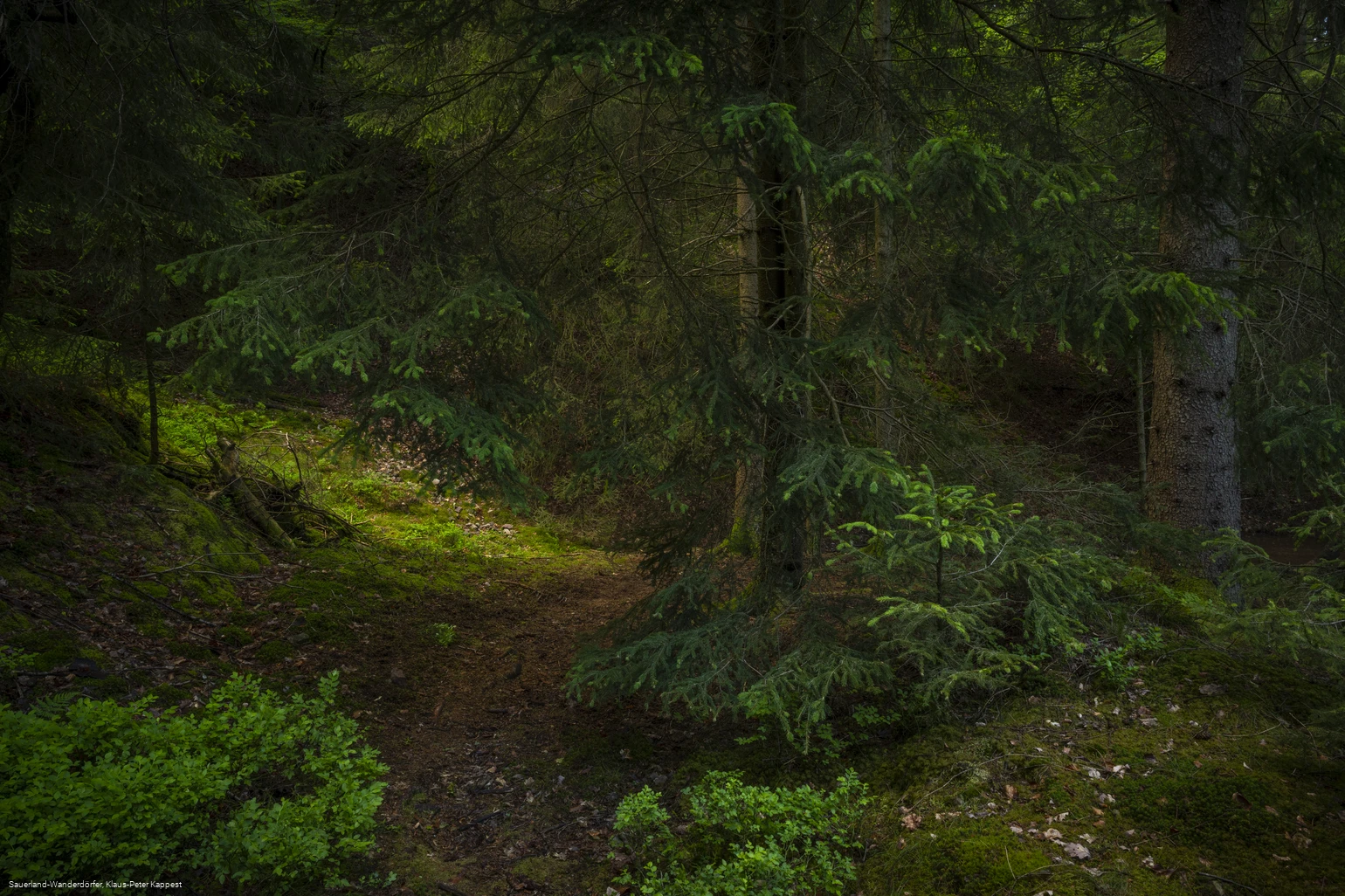 Steinbruch am Schinkenkeller