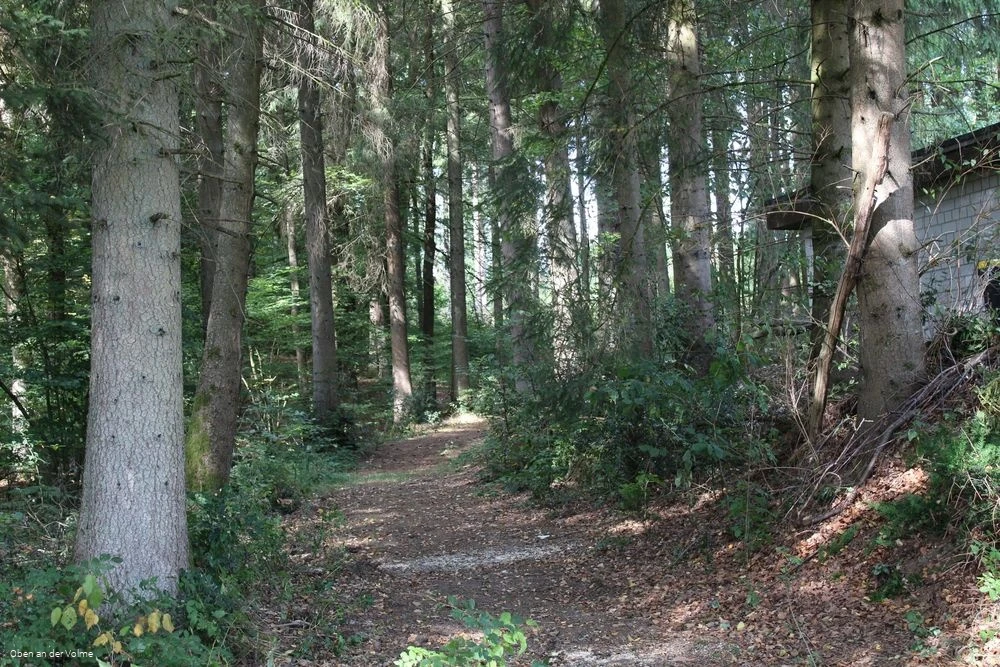 Das gut sichtbare Hohlweg