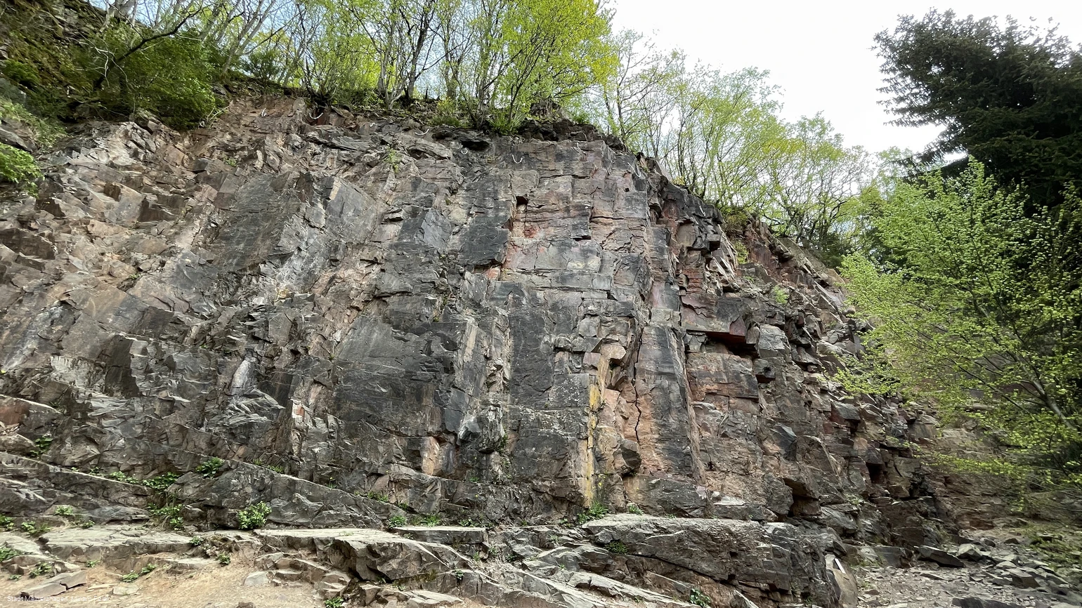 20220505_Scharpenbeul (11).jpg