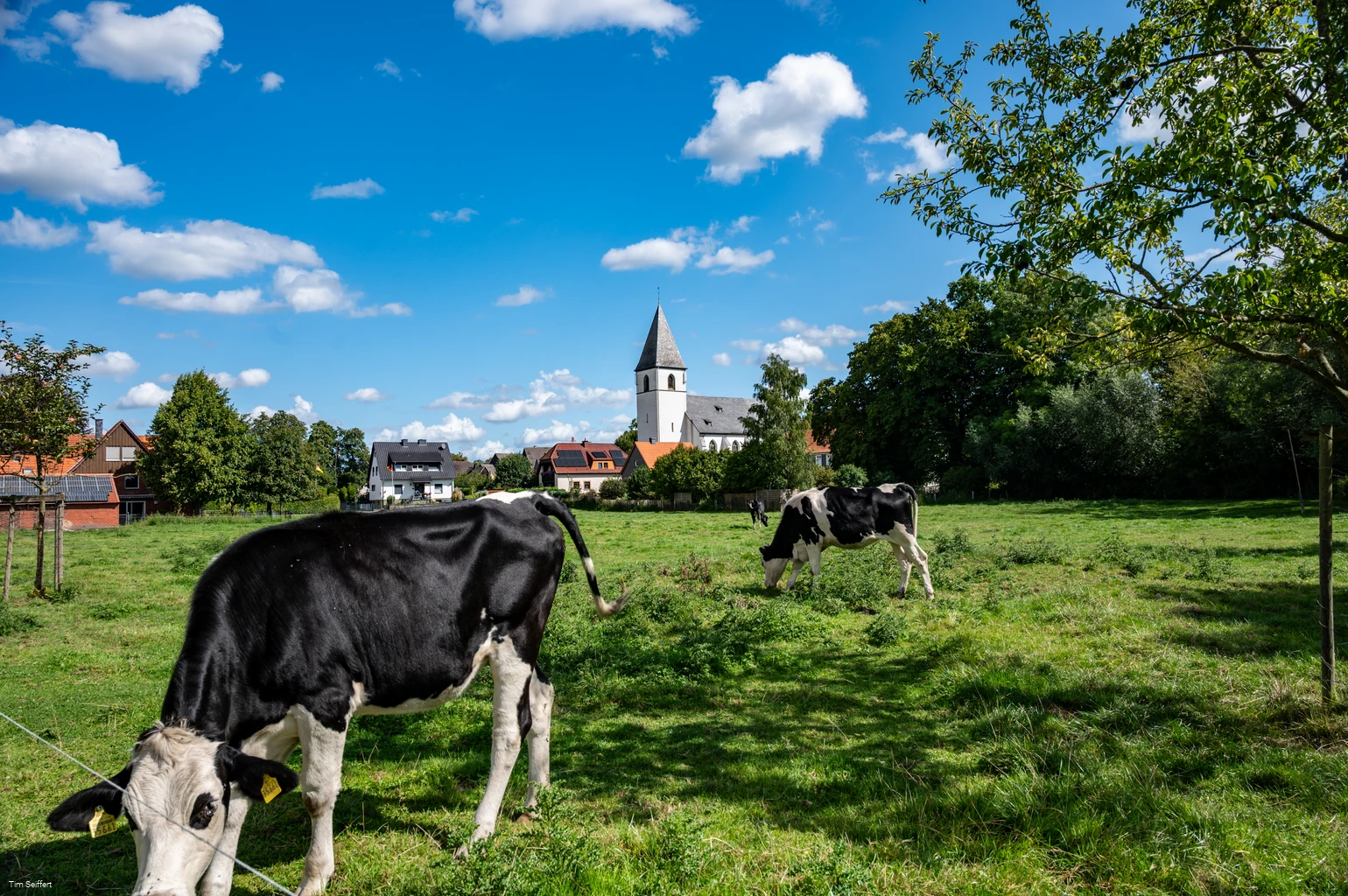 Welver-Dinker_Ahseweg_2025(c) Tim Seiffert.jpeg Welver-Dinker_Ahseweg_2025(c) Tim Seiffert.jpeg