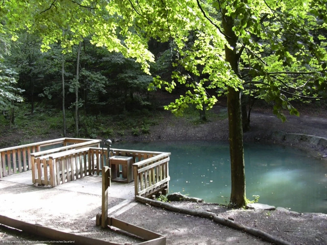 Waldweg Grenzenlos.jpg Waldweg Grenzenlos.jpg