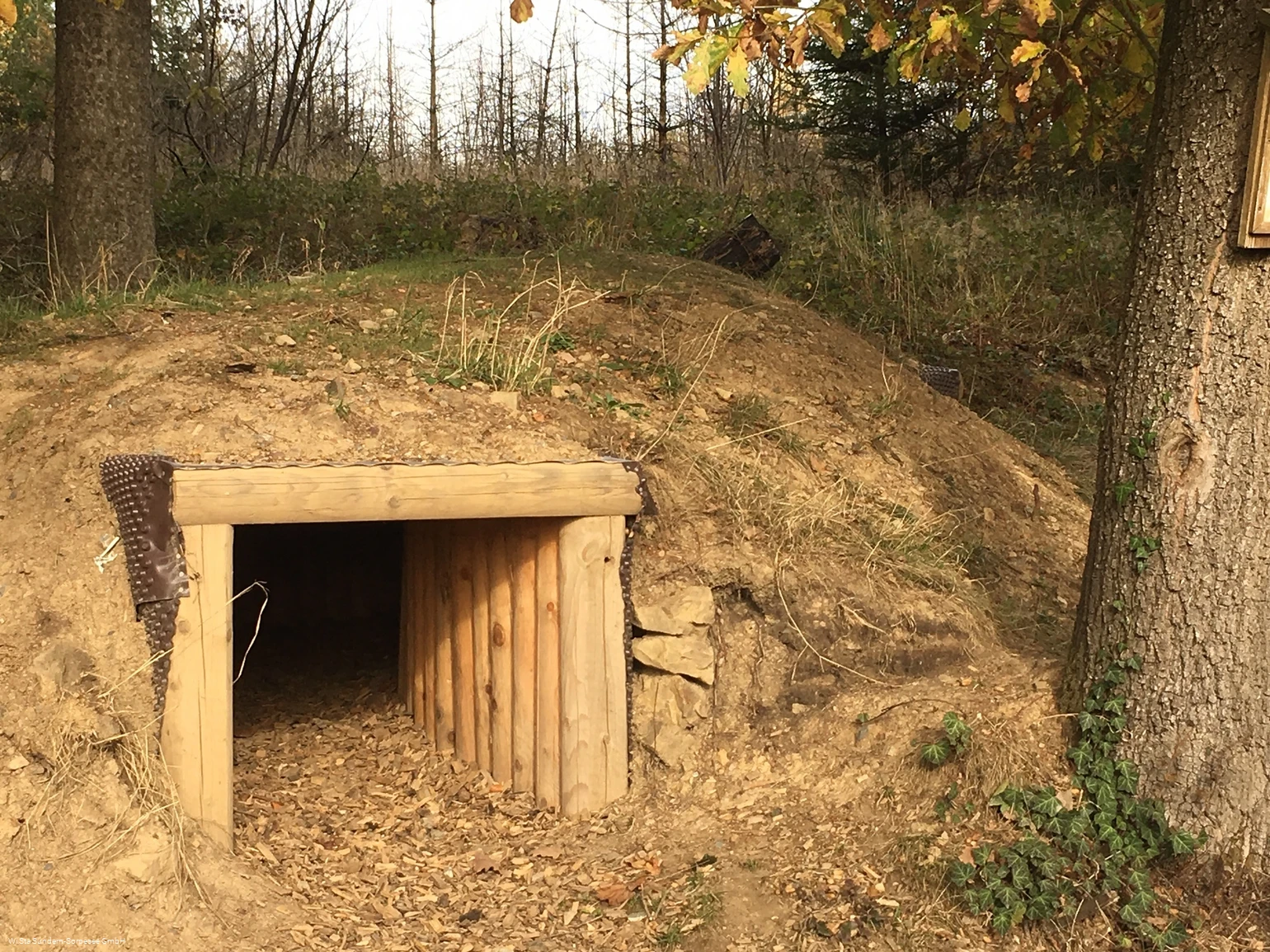 Fuchsbau mit Kriechtunnel