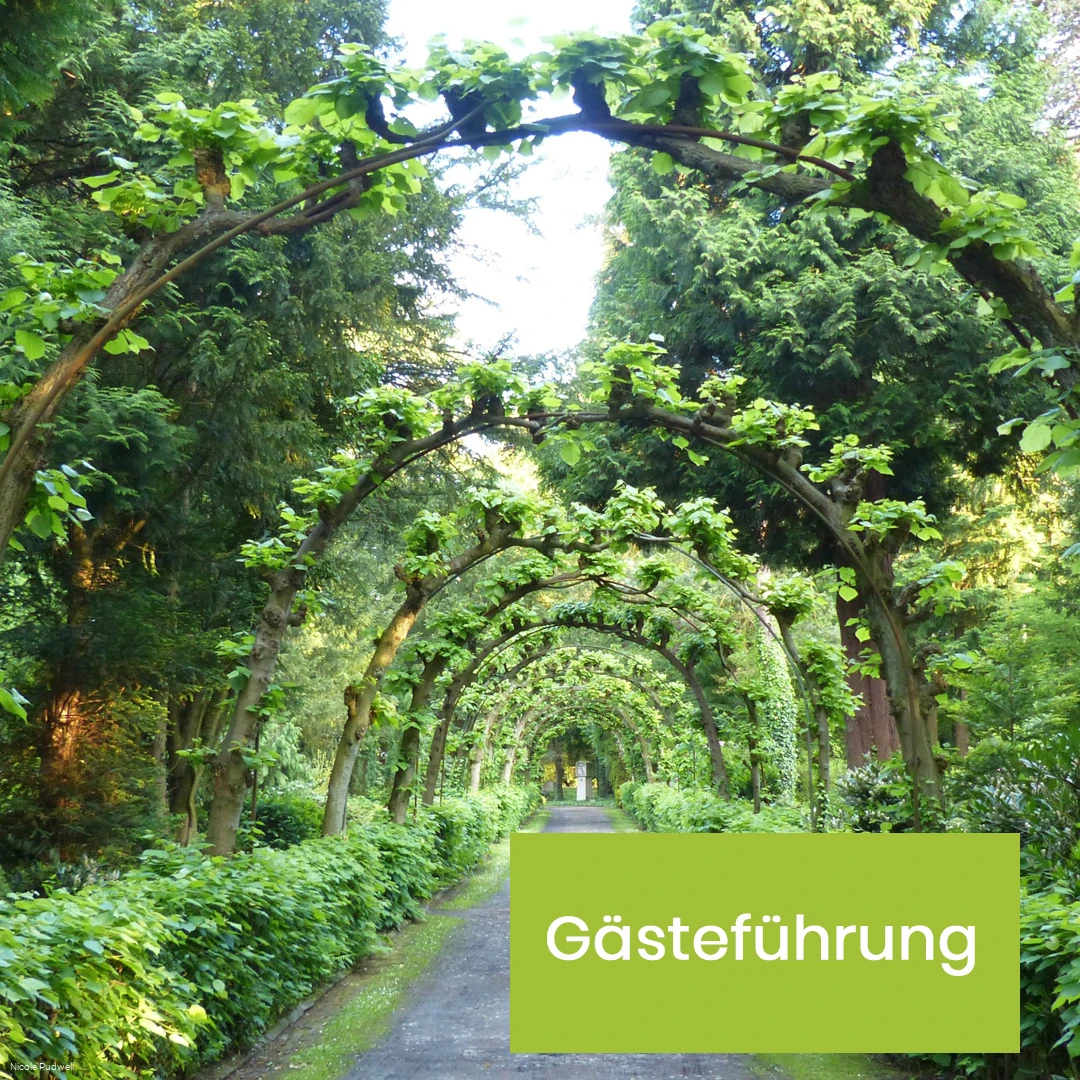 Gaestefuehrung-Parkfriedhof.jpg