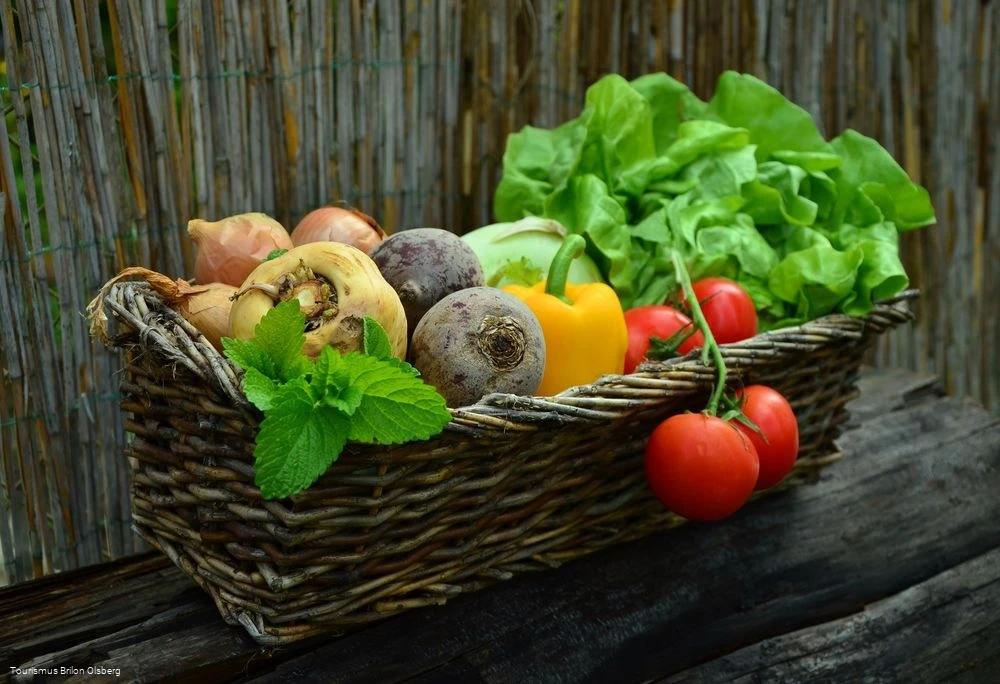gesunde Ernährung gesunde Ernährung
