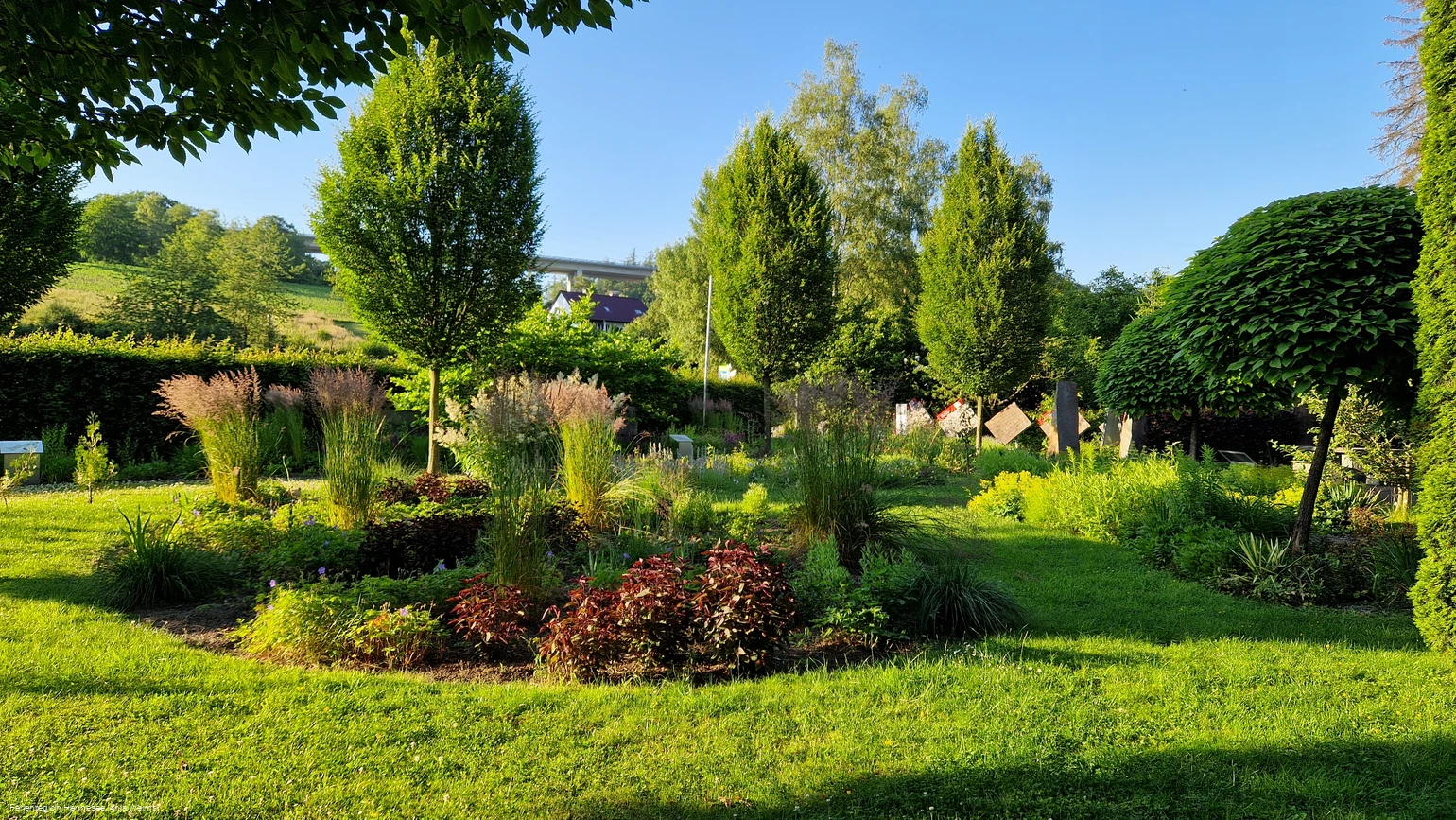 pausenhof rtrw (Anja Weims) (1).jpg