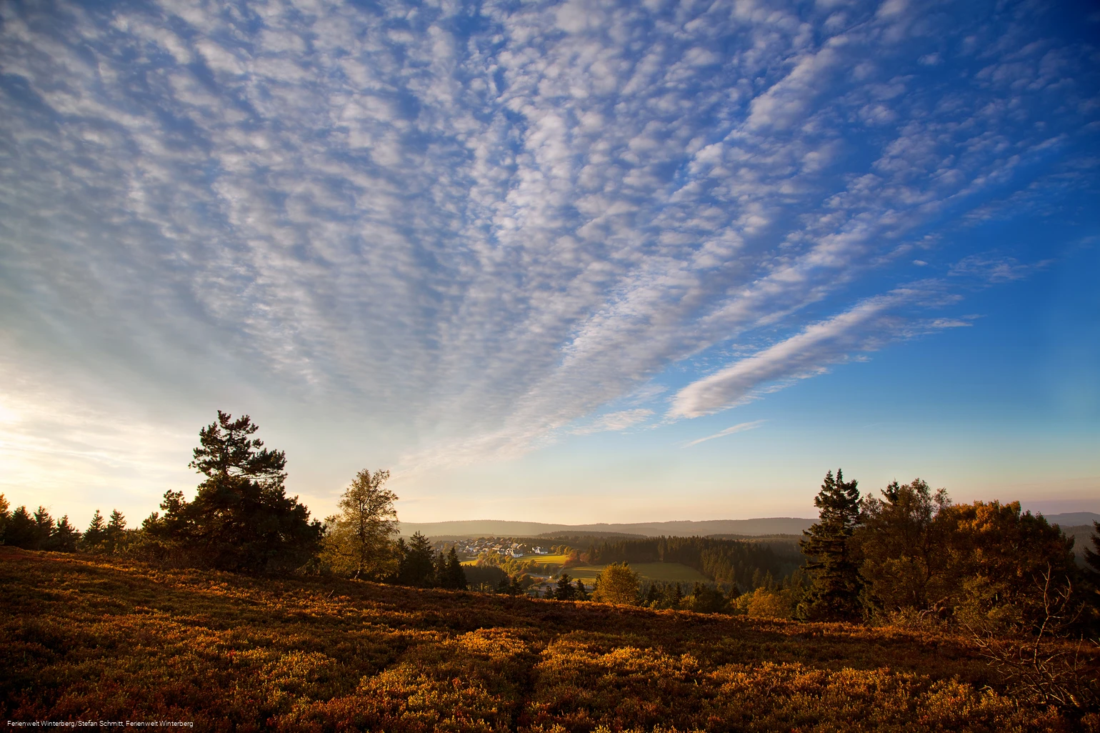 Hochheide in Niedersfeld