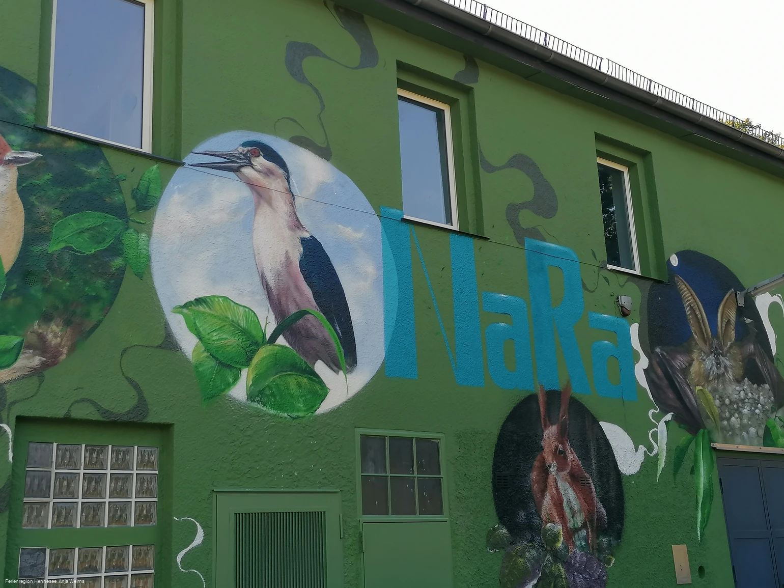 LUZ NaturRanger Haus 