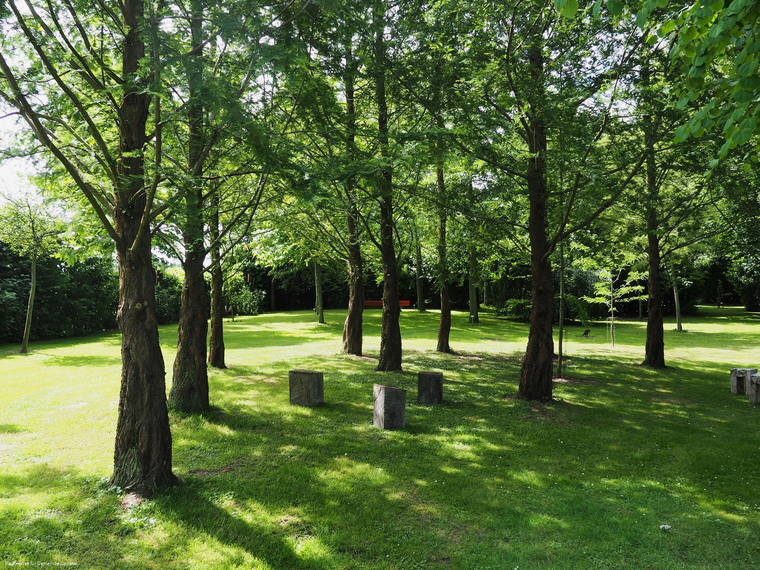 LIPPETAL - Arboretum Hense.jpg