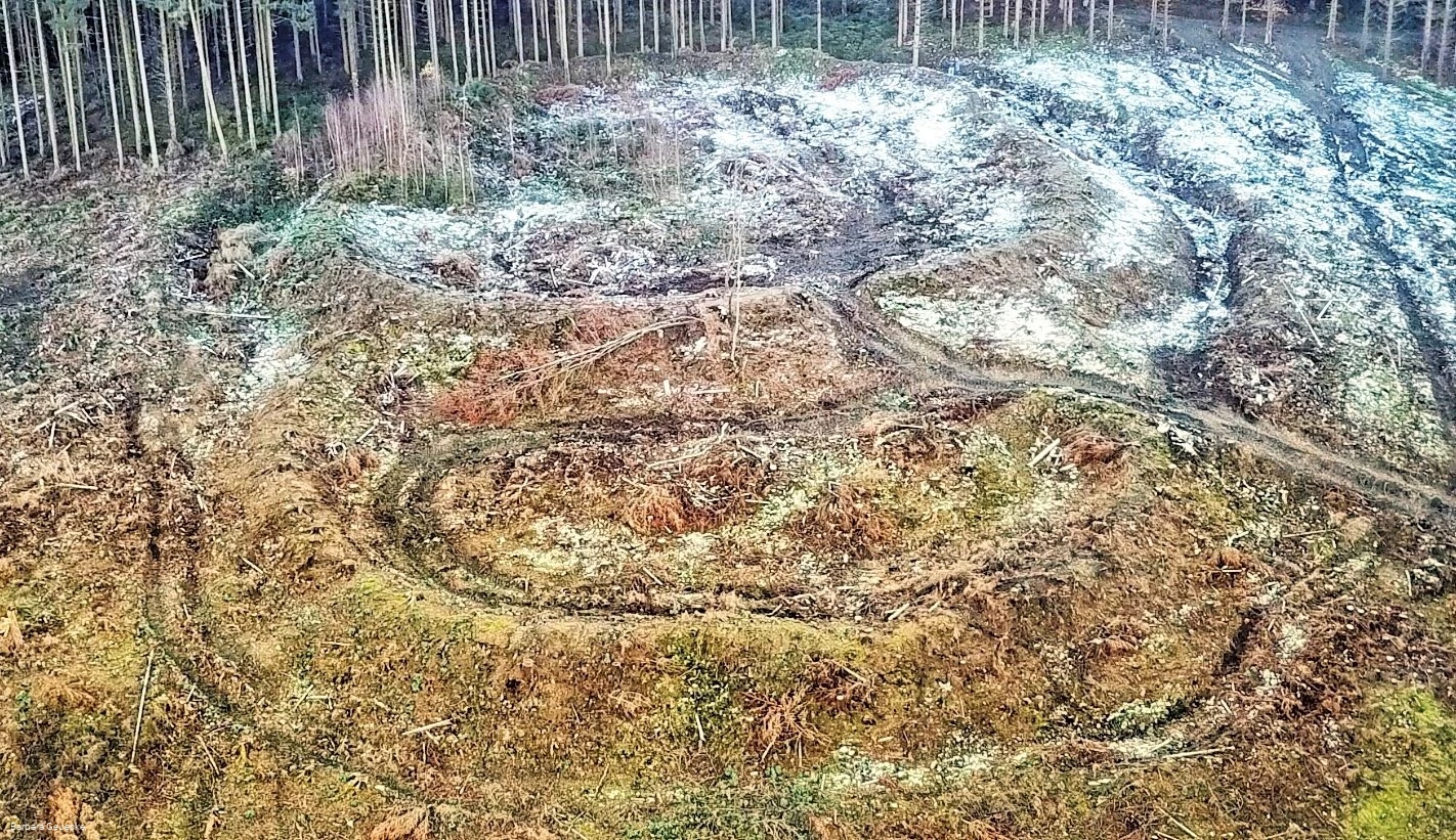 Luftbild Güllener Ring