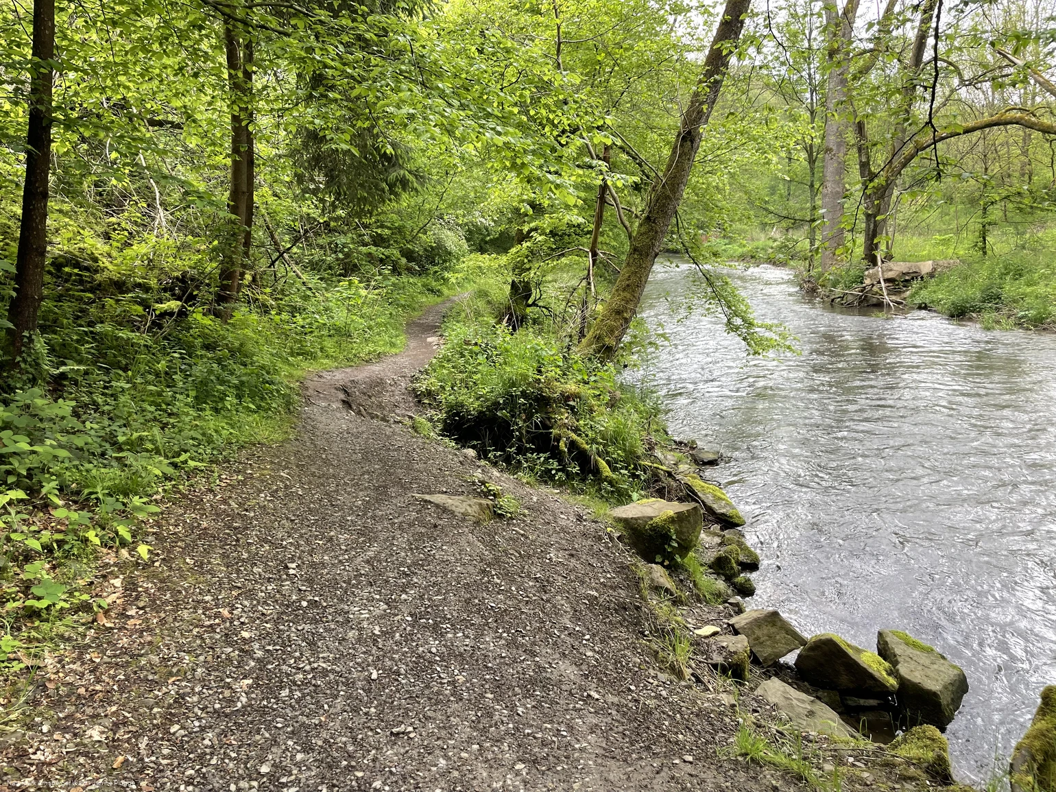 Fluss im Hönnetal 