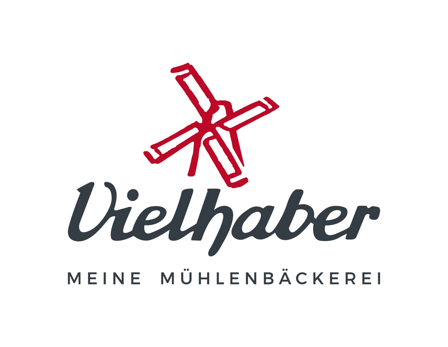 bvi-vielhaber-logo-2023-cmyk.jpg bvi-vielhaber-logo-2023-cmyk.jpg